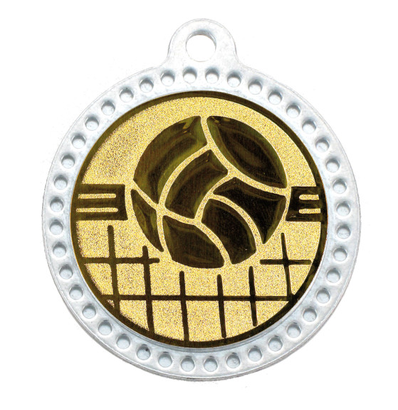 M320 VOLLEY GOLD.jpg